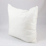 Filled Cushions - Pack Of 2